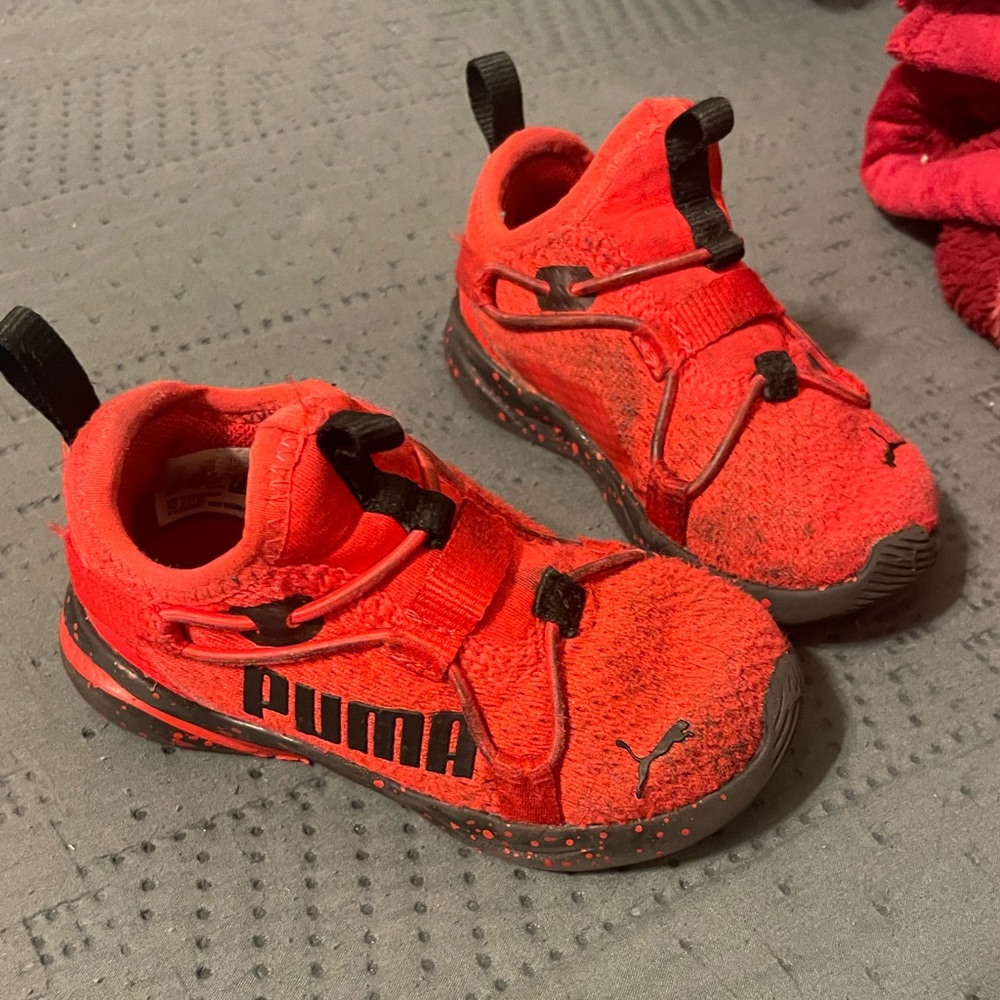 Red puma